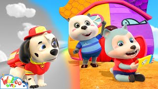 Where is My Pet? 🐶😍 I Lost My Pet Song - Animal Song | Nursery Rhymes & Wolfoo Kids Songs