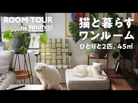 【猫と暮らす家ルームツアー】45㎡ワンルーム賃貸／ひとり＋エキゾチックショートヘア２匹で心地よく過ごす|【公式】SUUMO（スーモ）