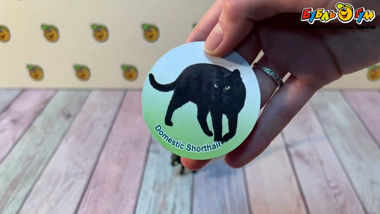 Фигурка Кошки с 3лет в ассортименте - видео Фигурка Кошки с 3лет в ассортименте - видео