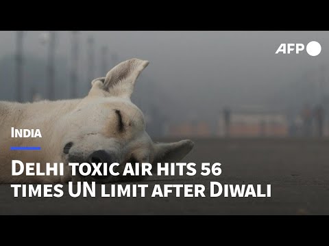 Indian capital chokes after Diwali firework frenzy | AFP