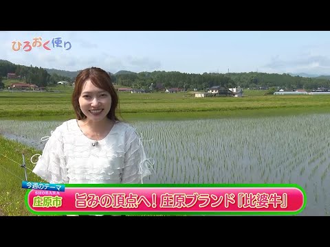 第462回　ひろおく便り　庄原市　旨みの頂点へ！庄原ブランド『比婆牛』