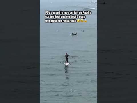 SOLITUDE #surf #surfing #surfeurs #surfsession #requin