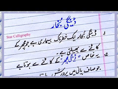 Dengue Fever Essay | Ten lines on dengue fever in urdu | Dengue Waba essay | ڈینگی بخار/وائرس مضمون