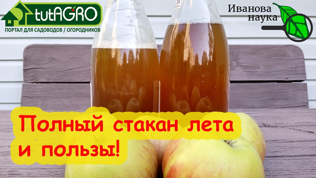Любой сок превращаем в целебное игристое. Вино за 1 день.