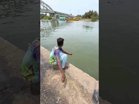 Catfish Jackpot! What a Catch! #fishing #fish