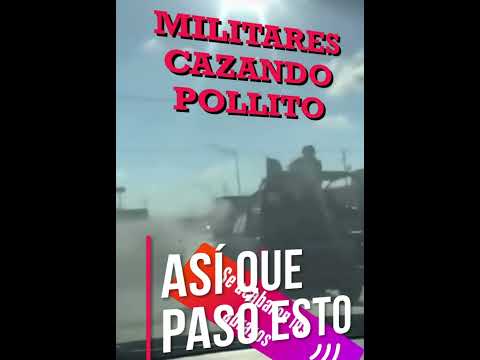 Militares acabando con pollitos en blindada 🪖🪖🇲🇽🫡#culiacan #badiraguato