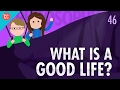 Philosophical Perspectives on Life's Value