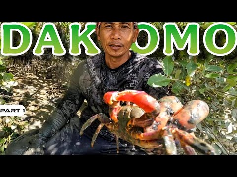 P1 - Madukot Muna Tayo ng Dakomo - EP1677