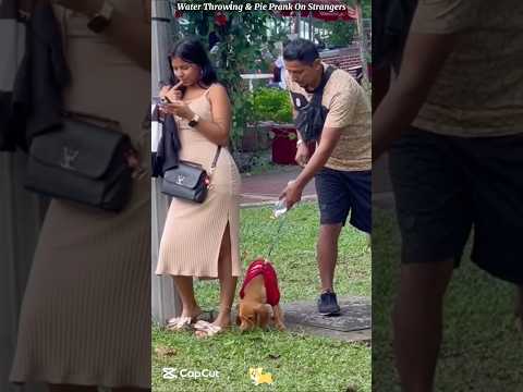 Water Throwing & Pie Prank on strangers #shortvideo
