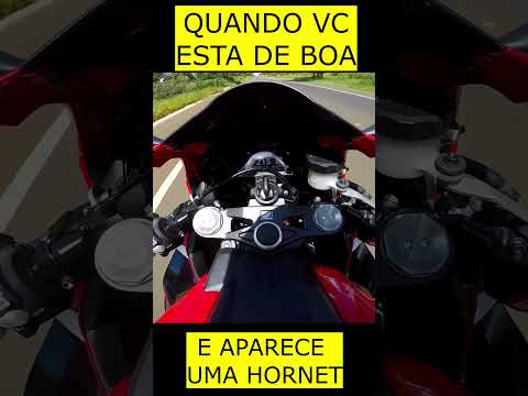 QUANDO VC ESTA DE CBR 1000RR FIREBLADE E APARECE UMA HORNET #motorcycle #cbr600 #hornet