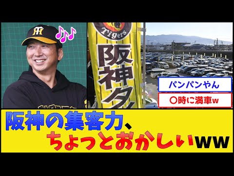 阪神の集客力、ちょっとおかしいwww【阪神タイガース】【プロ野球なんJ 2ch プロ野球反応集】