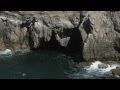 Coastal Geography and Wave Dynamics