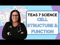 Cell Structure and Function Concepts