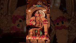 Vadivelaaa....#murugan #temple #pooja #tuesday #blessings #devotional #murugansongs #omnamahshivaya