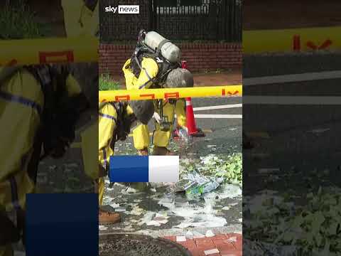 North Korean trash balloon lands near South Korea's presidential complex