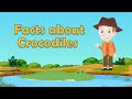 Crocodile Behavior and Characteristics