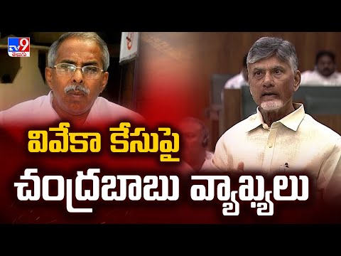 వివేకా కేసుపై చంద్రబాబు వ్యాఖ్యలు : CM Chandrababu | AP Assembly 2024 - TV9