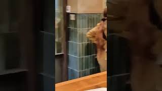 #isreali #israel #idf #soldier #foryou #jerusalem-