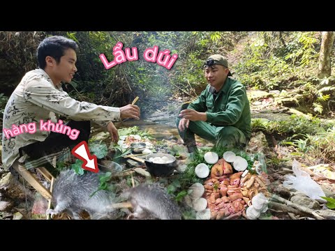 một ngày may mắn đặt bẫy dính hàng khủng của 2 anh em ( Ẩm Thực Miền Núi ) #set huge sticky traps