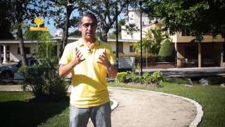 5 elementos de la teoria de la felicidad - FELIZMENTE - VIA COACHING