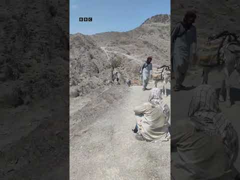 "ایران ته پر لار مې یوه مور ولیدله چې دوه لوڼې یې له تندې مړې شوې"