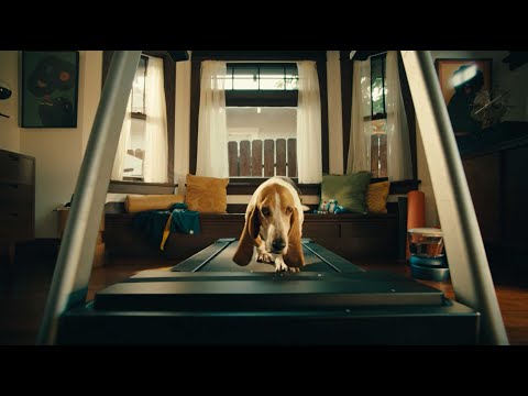 DashPass Pup – DoorDash Commercial