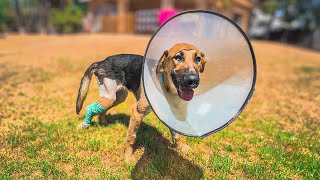 Una pata rota no pudo quitarle la sonrisa