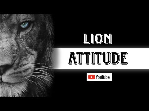 "LION ATTITUDE" - 3 lessons to change your LIFE | 3 नियम जे तुमचं आयुष्य बदलून टाकतील|