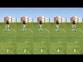 Video Tutorial Quiz