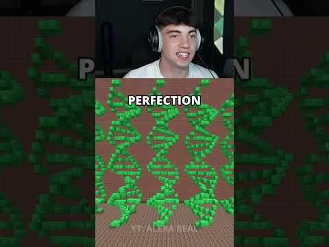 How Different Cameras Be Like In Minecraft! 😱