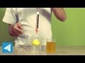 Understanding Buoyant Force and Density