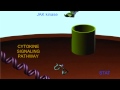 Signal Transduction and Protein Phosphorylation