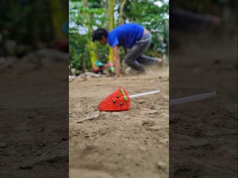 Millipede are really cool like you, love what you give them.They love it so much they curl up in joy