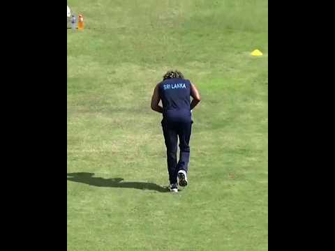 Malinga  king bowling 🥎🥎 #cricket #cricketloves #t20worldcup #ipl  #shortvideo