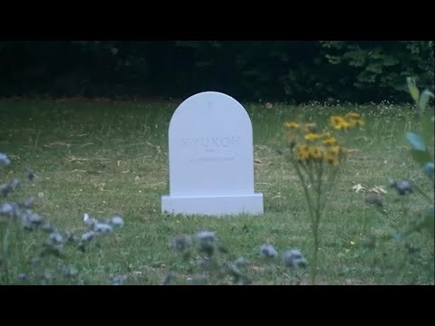 HELP ME FIND MY BEST FRIEND!