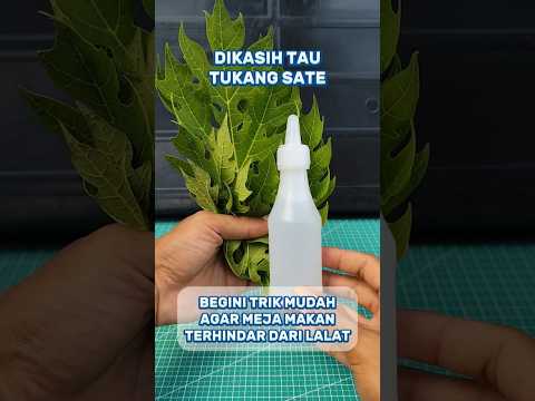 Trik mengusir lalat #creatorkampung #tutorial #idekreatif #tips #unik #tipspraktis #diy