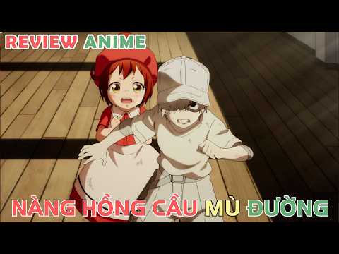 Tế Bào Máu Mù Đường | REVIEW PHIM ANIME HAY