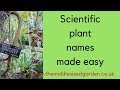 Plant Classification and Nomenclature