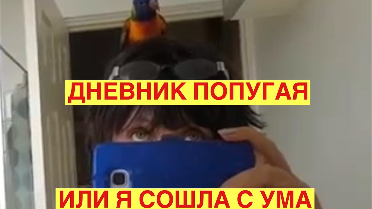 Дневник попугая лори. Обкакал с головы до ног. Родители прилетели. 13. 11. 18