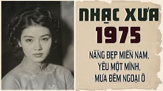 Nắng Đẹp Miền Nam, Yêu Một Mình, Mưa Đêm Ngoại Ô