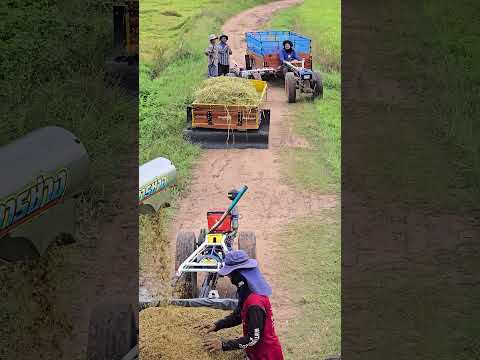 3 พฤศจิกายน ค.ศ. 2025