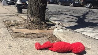Republicans Finally Killed PBS