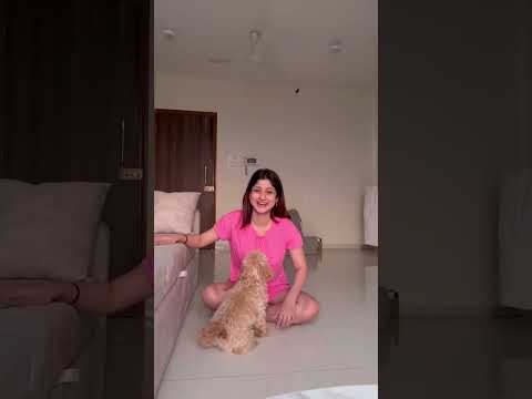 Saying My Dog’s Fav Words🤭 #shorts #challenge #dog