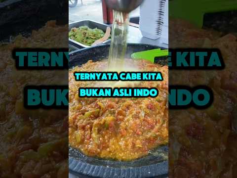 Inilah cabe asli Nusantara, Indonesia. #faktaunik #faktamenarik #kuliner