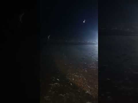 ผานมันต้นตากแห้งงานโอ หากินถิ่นลาว ผานมันต้นตากแห้งงานโอ