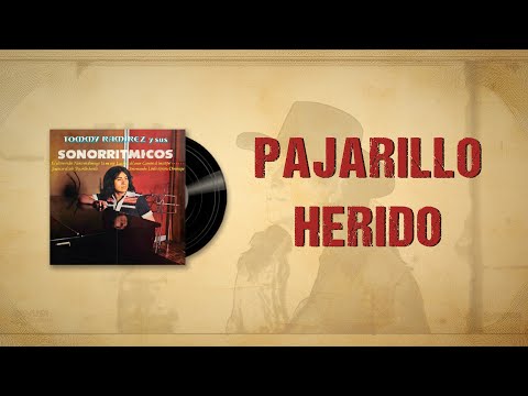 Pajarillo Herido - Tommy Ramírez y Sus Sonorritmicos