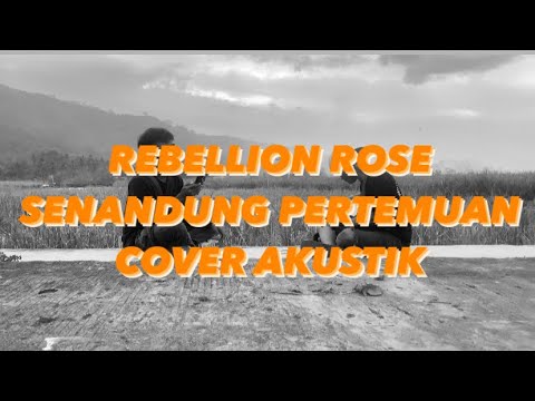 REBELLION ROSE - SENANDUNG PERTEMUAN COVER AKUSTIK