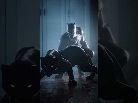 #shortvideo #harikavideolar #tiktoktürkiye kara panterle uyum