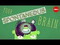 Understanding Brain Functions