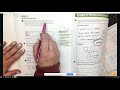 Multiplying Fractions and Their Applications